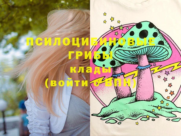 альфа пвп Бородино