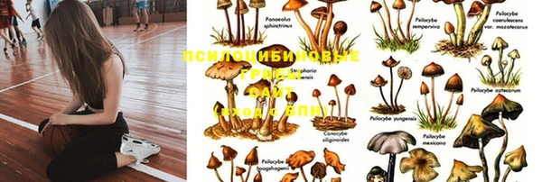 спиды Бугульма