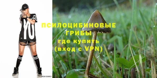ешки Бронницы